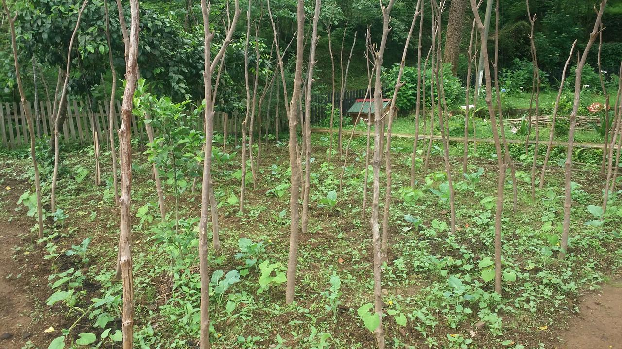 Villa Inceler Konagi Findikli  Exterior foto
