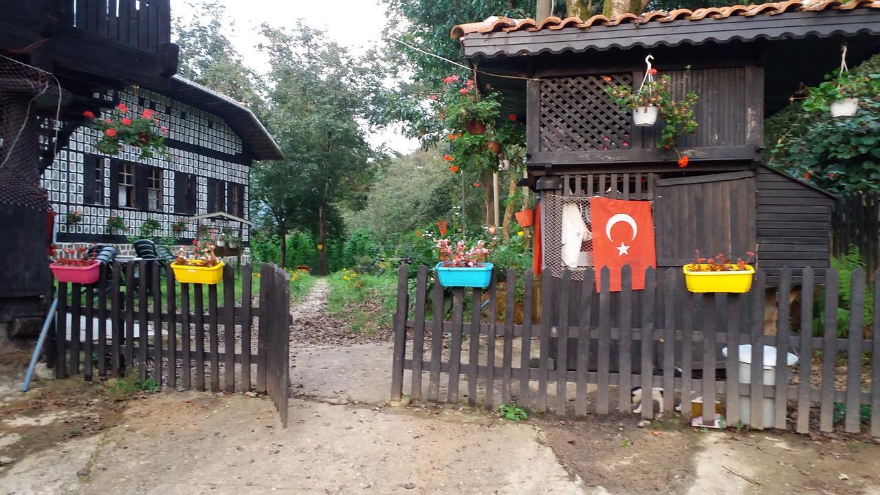 Villa Inceler Konagi Findikli  Exterior foto
